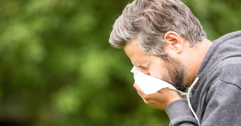 A man with gray hair is sneezing into a tissue outdoors. He is wearing a gray hoodie against a blurred green background, depicting allergy symptoms.