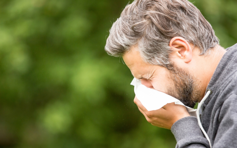 A man with gray hair is sneezing into a tissue outdoors. He is wearing a gray hoodie against a blurred green background, depicting allergy symptoms.