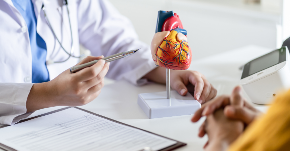 Healthcare provider using an anatomical heart model to discuss cardiovascular health with a patient.