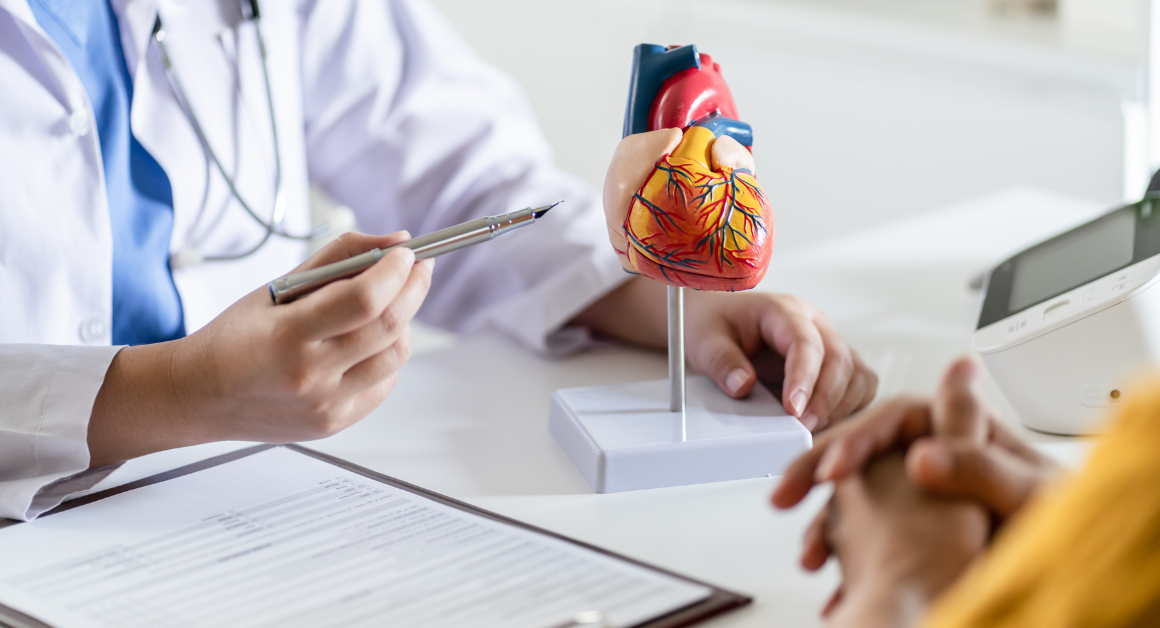 Healthcare provider using an anatomical heart model to discuss cardiovascular health with a patient.