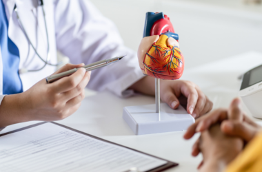 Healthcare provider using an anatomical heart model to discuss cardiovascular health with a patient.